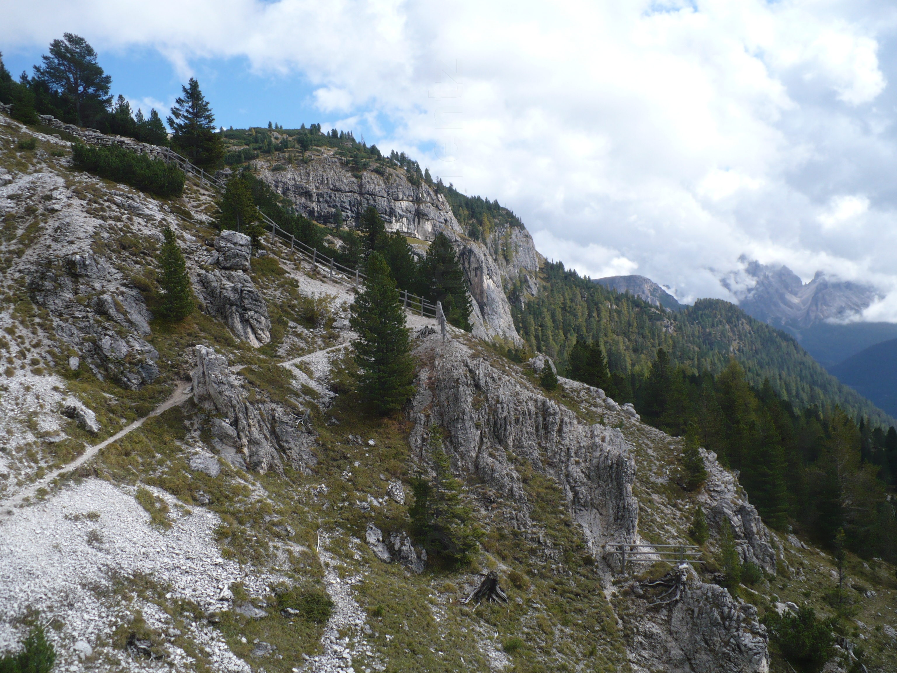 Images/3 Suedtirol_ Ploetzwiese (153).jpg